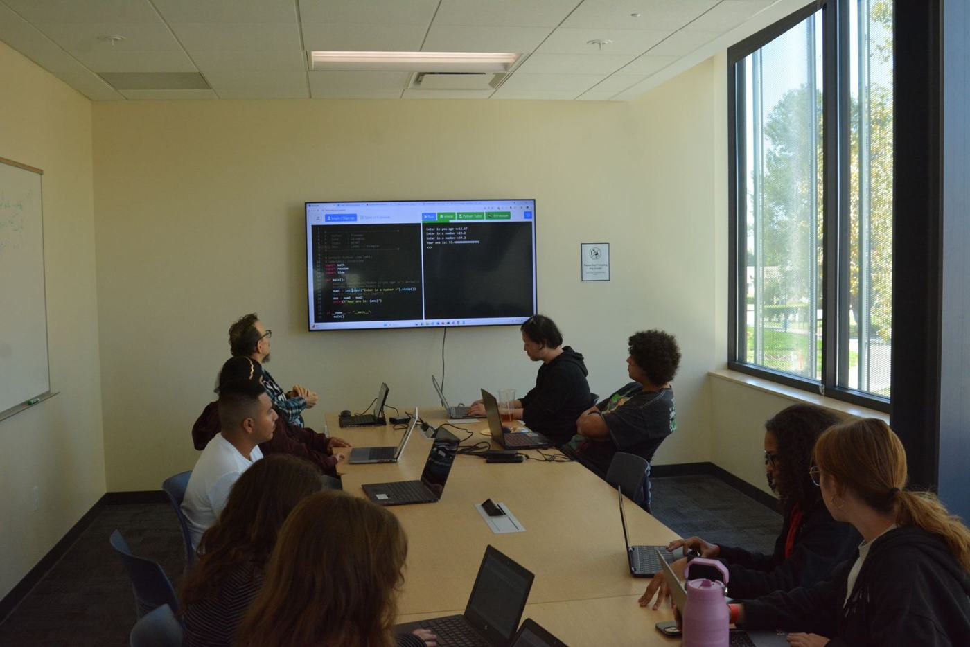 Beginner Python workshop